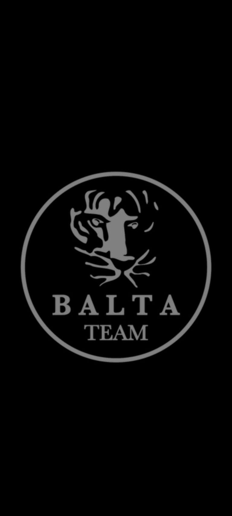 Balta Team image 1
